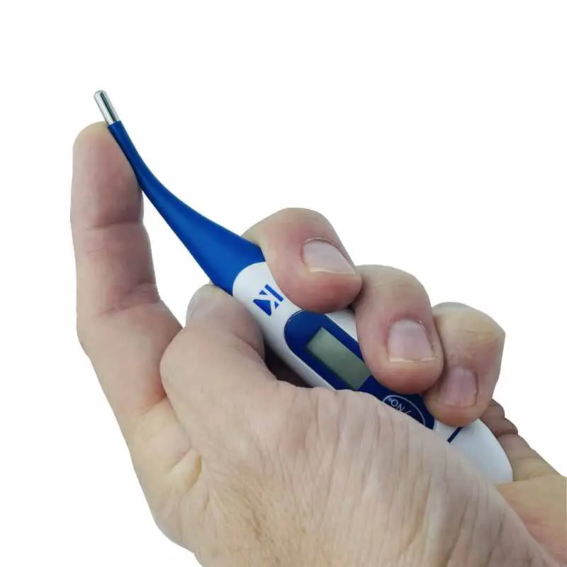 Mano sosteniendo un termómetro digital blanco y azul con la punta flexible curvada hacia arriba sobre fondo blanco.