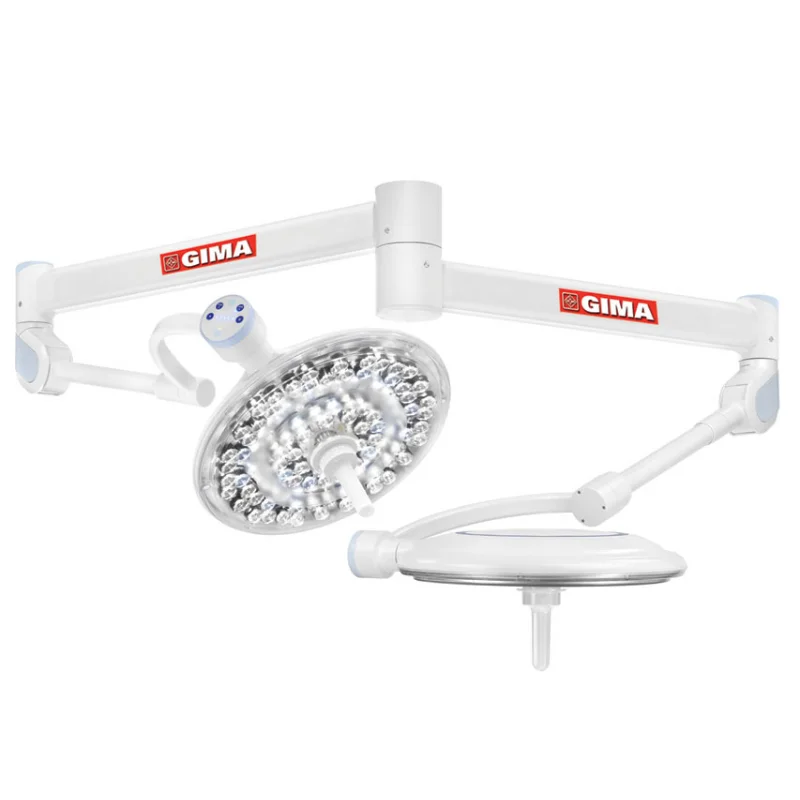 Doble lámpara LED GIMALED OT - Techo