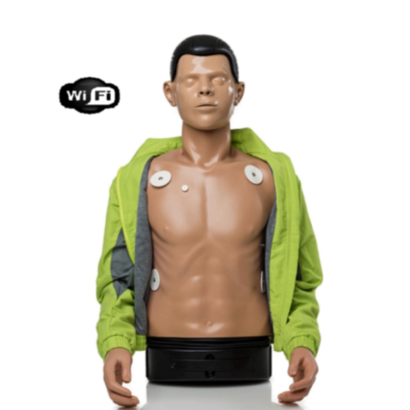 Maniquí AMBU Defib Trainer W