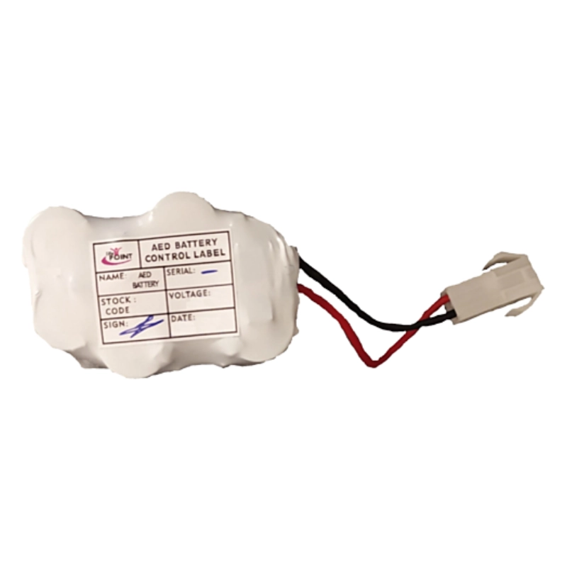 Batería Life-Point Pro 12V