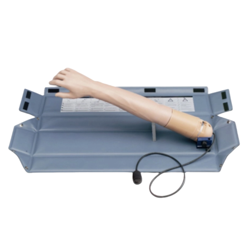 Brazo instructor I.V AMBU® - Imagen 2
