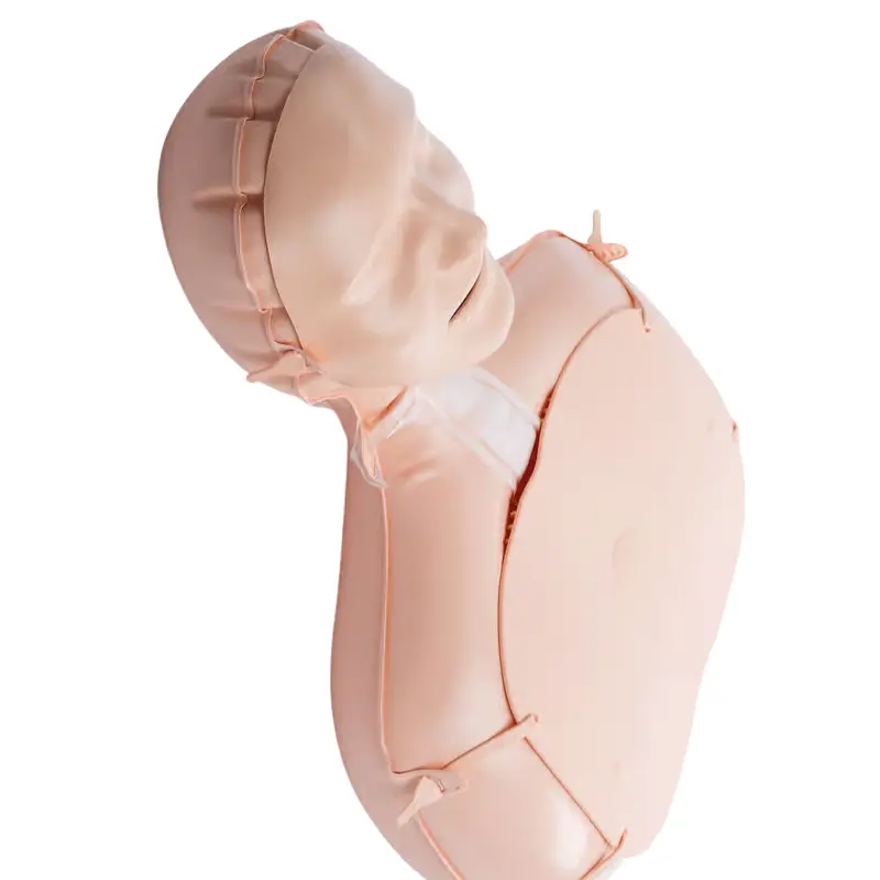 Detalle superior del torso y la cabeza de un maniquí de entrenamiento Laerdal Mini Anne Plus sobre fondo blanco.