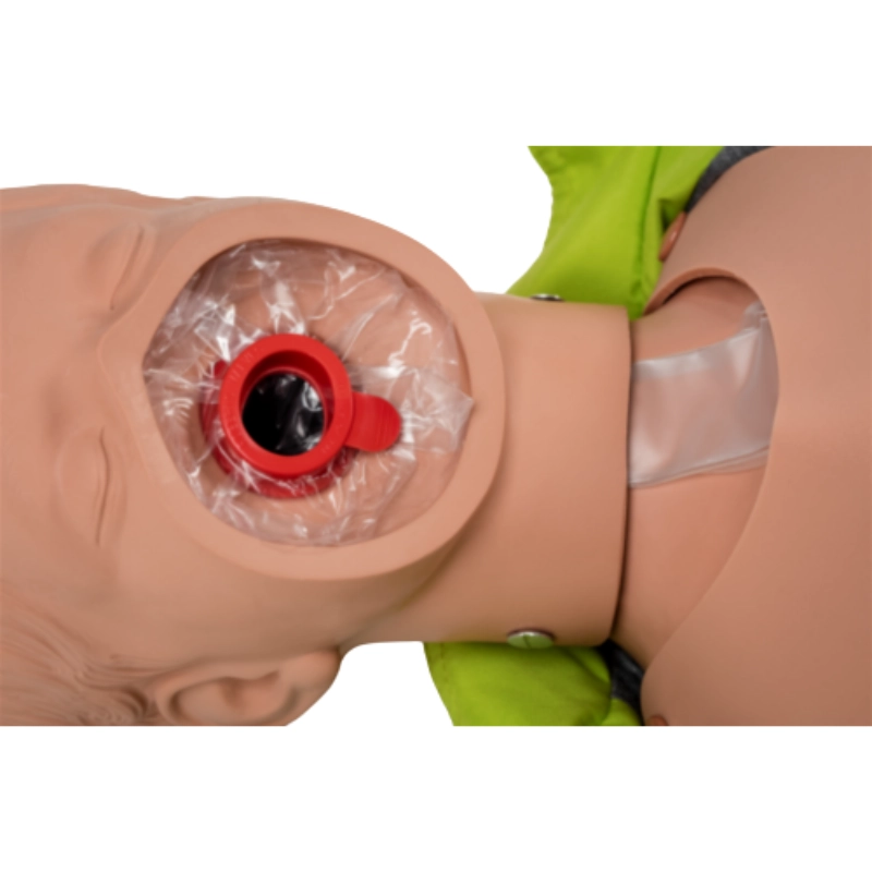 Maniquí Ambu Junior
