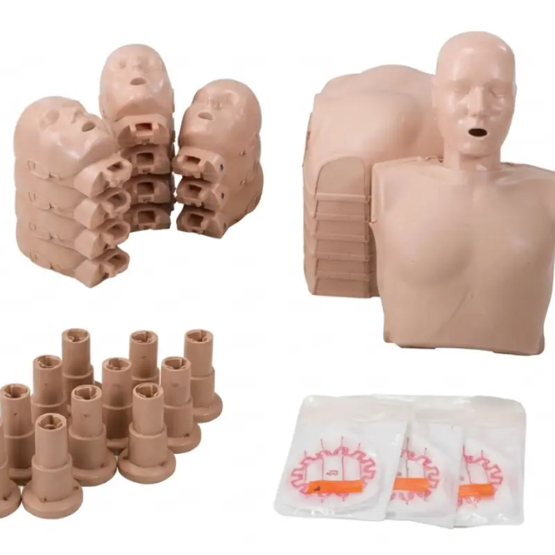 Conjunto de componentes del pack de 12 maniquíes Prestan Ultralite con torsos, cabezas apiladas, bases y bolsas con pulmones.